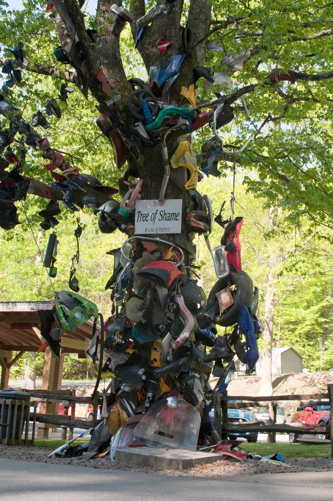 The "Tree of Shame" at Deals Gap — broken parts from real crashes, hung as both memorial and warning.