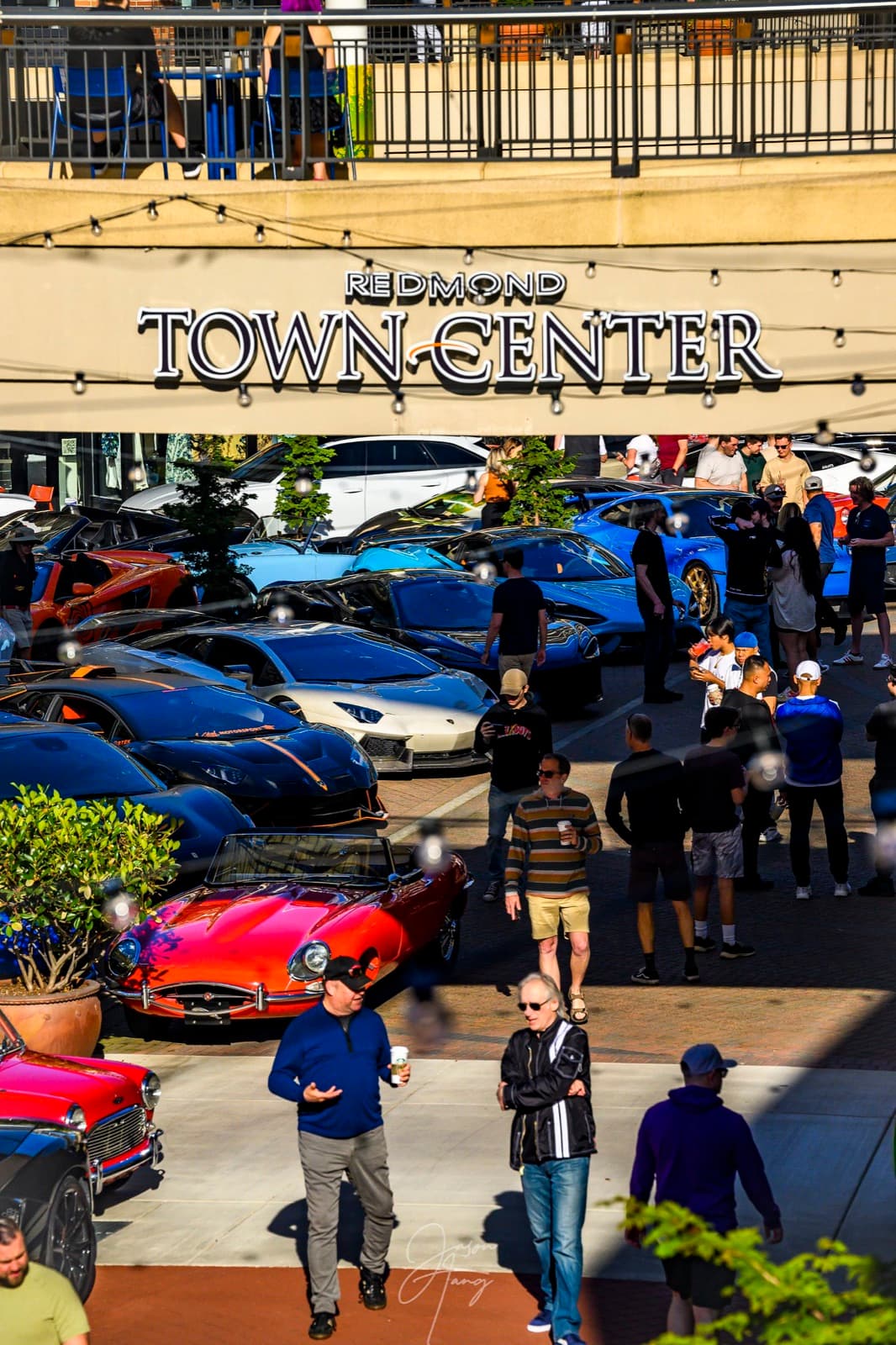 Exotics at Redmond Town Center