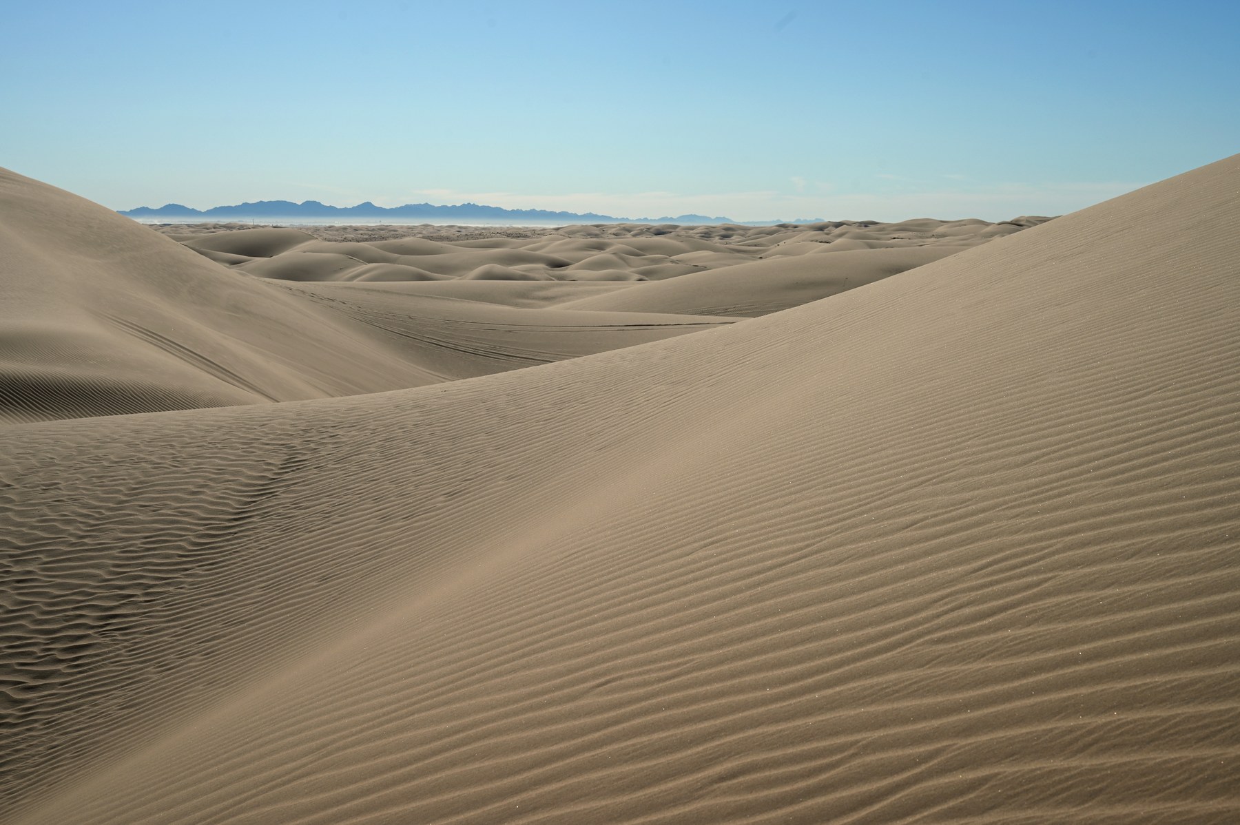 The Algodones Dunes in Imperial County, California — the Glamis sand where the 2026 Rebelle Rally finished and held its awards gala on 17 October. The rally's last competition day runs through here, and it is where the standings usually move.