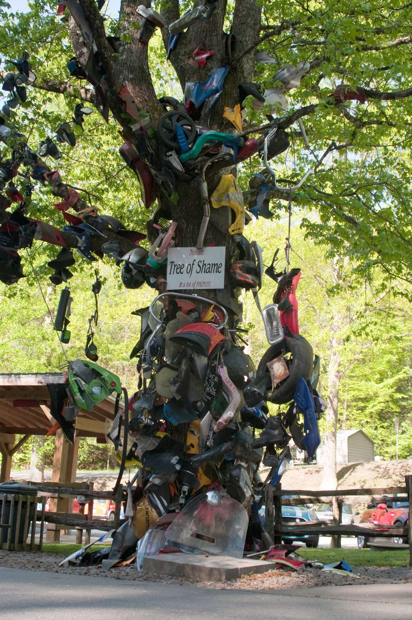 The "Tree of Shame" at Deals Gap — broken parts from real crashes, hung as both memorial and warning.