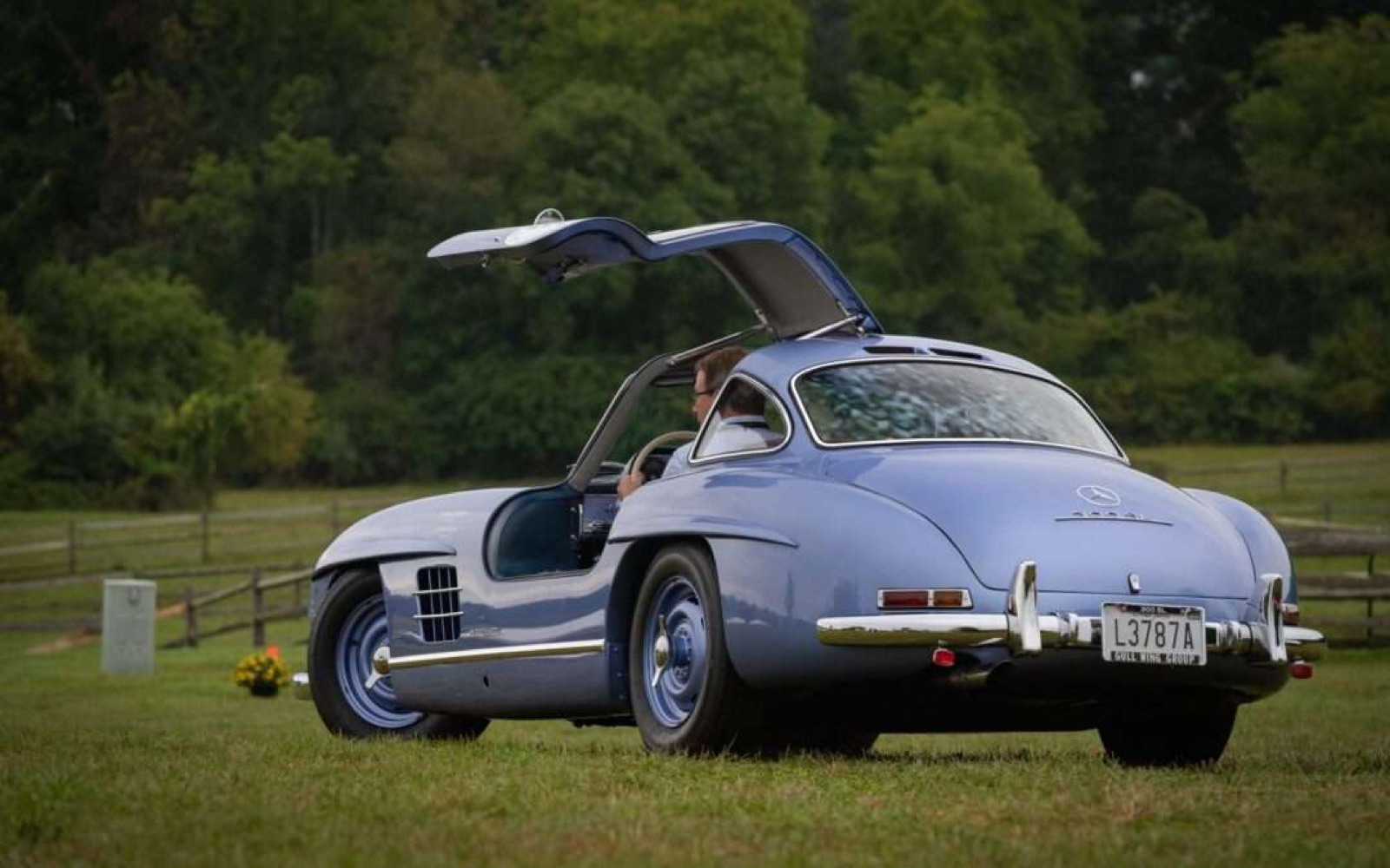 Radnor Hunt Concours d'Elegance