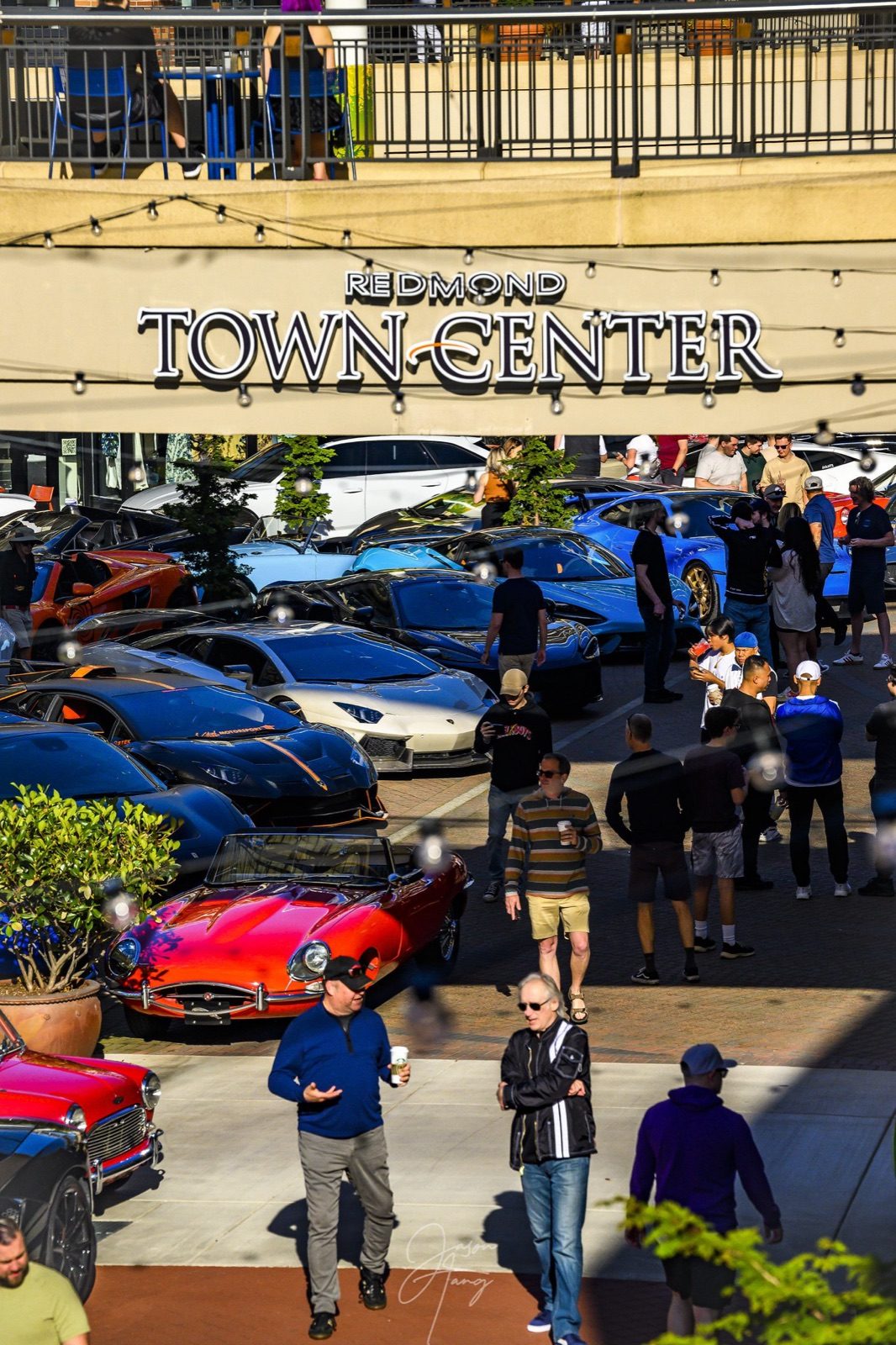 Exotics at Redmond Town Center