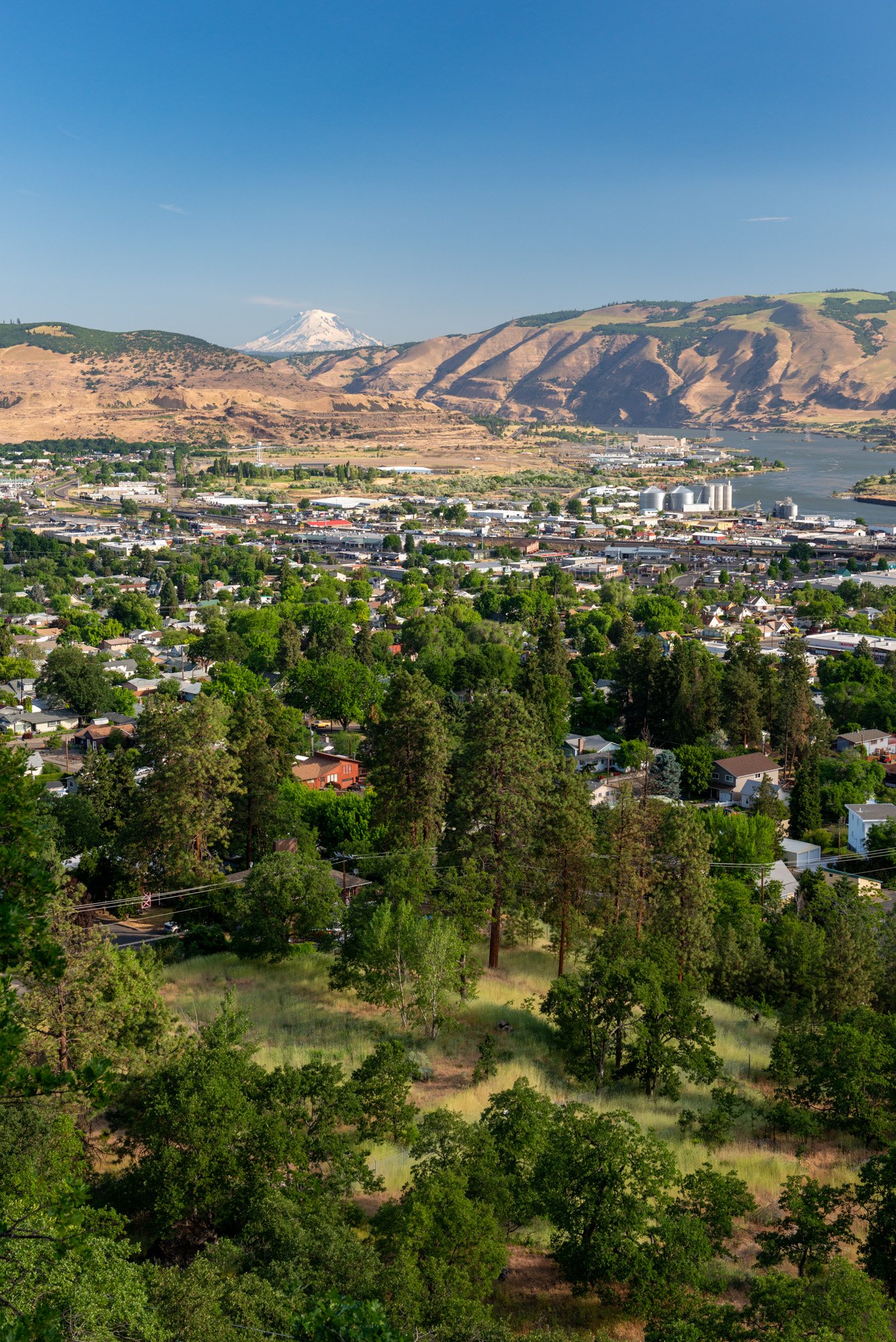Cruise the Gorge — Show in the Shade