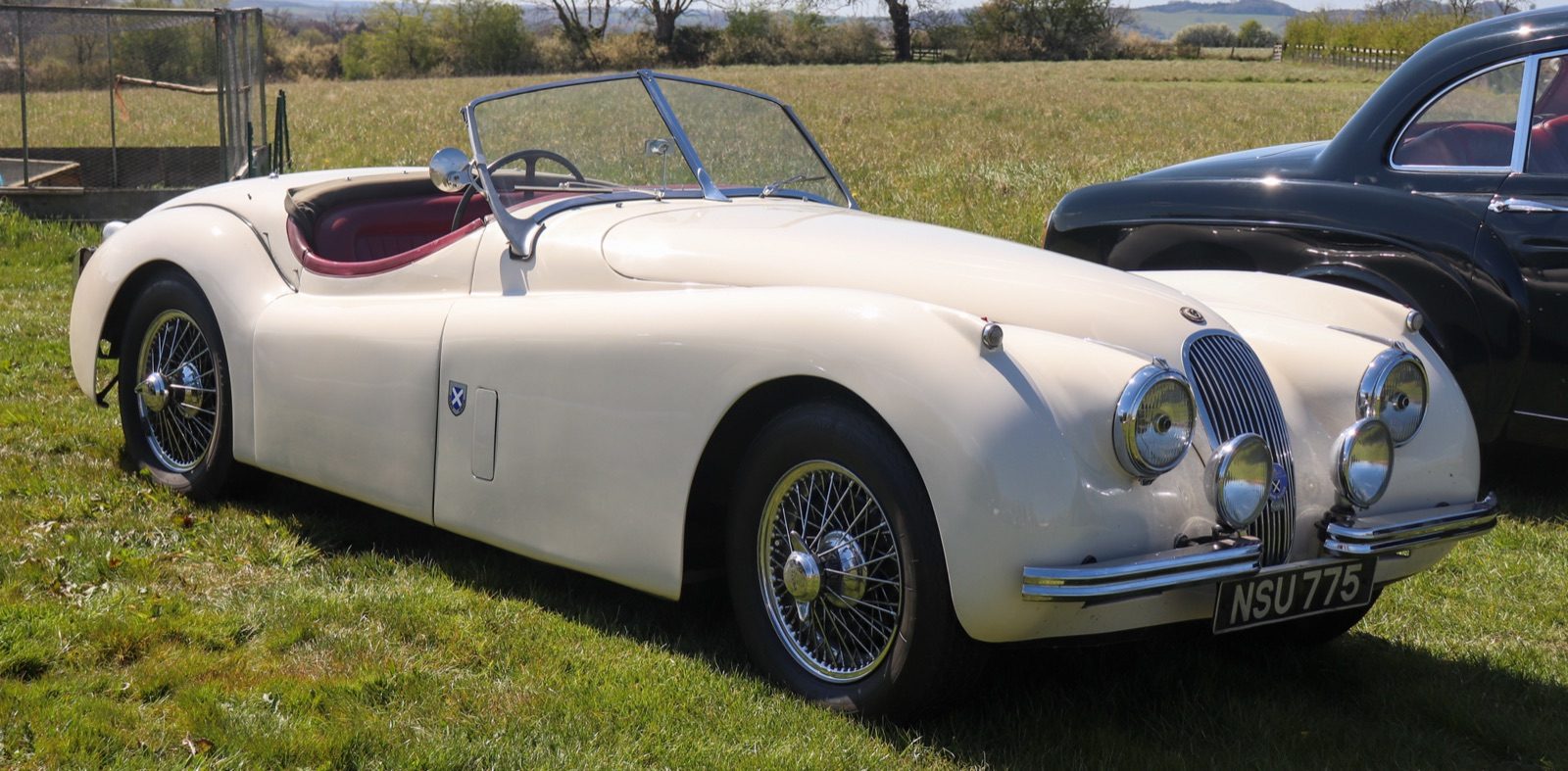 One Man Spent Decades Collecting 1,300 Cars. Now They're Being Sold Off, No Reserve.